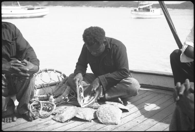 [Unidentified man sitting on boat deck opening mother-of-pearl shells, Thursday Island, Queensland?]
