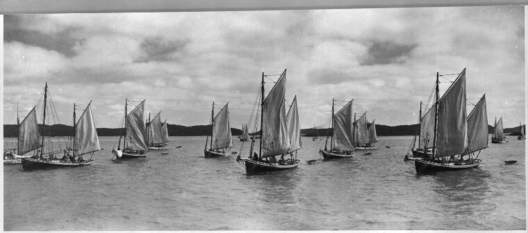 [Flotilla of pearling luggers, Thursday Island, with Prince of Wales Island in the background]