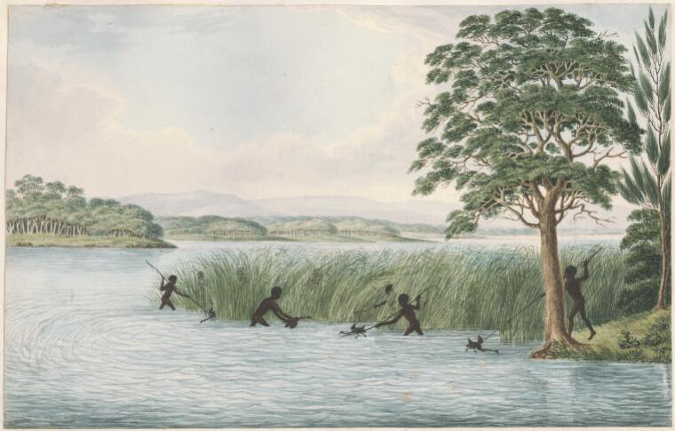 Aborigines hunting waterbirds, a water colour by Joseph Lycett