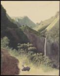 Tahiti, 5, 1854, view near the French fort at the falls of the Fatua, Tahaiti