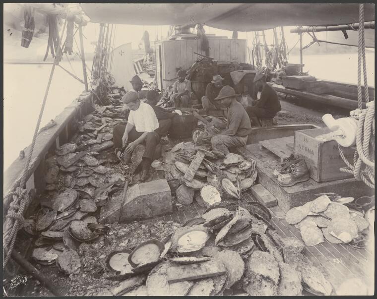On board a pearling lugger, Thursday Island, Queensland, ca. 1905