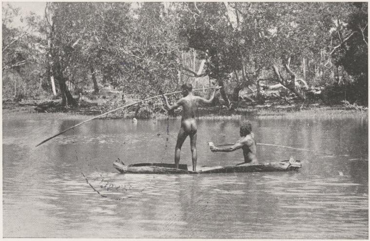  from a bark canoe, Port Macquarie, New South Wales, ca. 1925 [picture