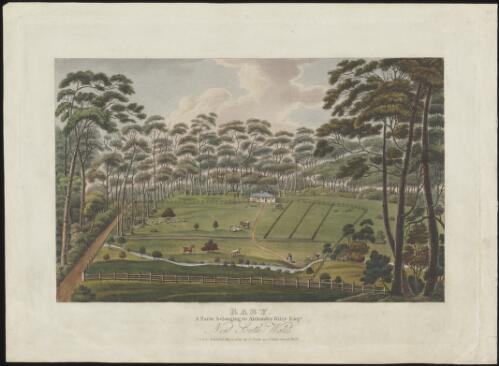 Raby, a farm belonging to Alexander Riley Esqr., New South Wales / Joseph Lycett