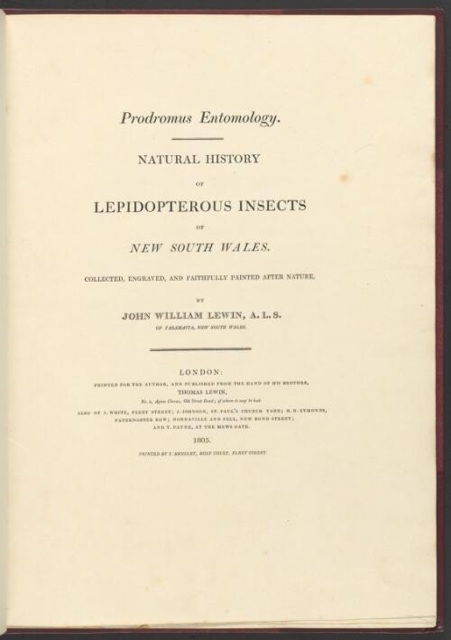 Natural history of lepidopterous insects of New South Wales / collected, engraved, and faithfully painted after nature by John William Lewin
