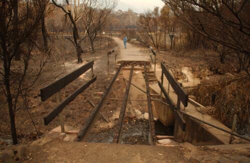[This footbridge was completely destroyed at the Tidbinbilla Nature Reserve, Canberra, January 2003] [picture] / Damian McDonald