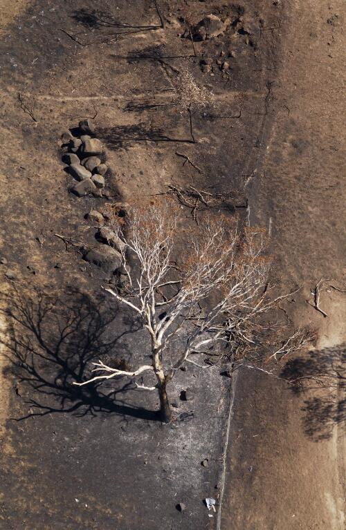 [Aerial view of burnt vegetation, Chapman, Canberra, January 2003] [picture] / Greg Power