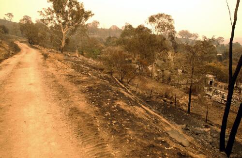 [View of a dirt road along the fire damaged nature reserve, Chapman, Canberra, January 2003] [picture] / Loui Seselja