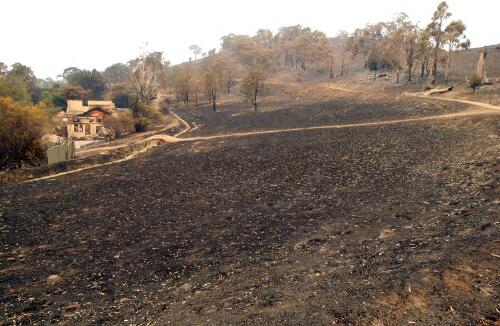 [View of burnt nature reserve and a burnt house, Chapman, Canberra, January 2003] [picture] / Loui Seselja