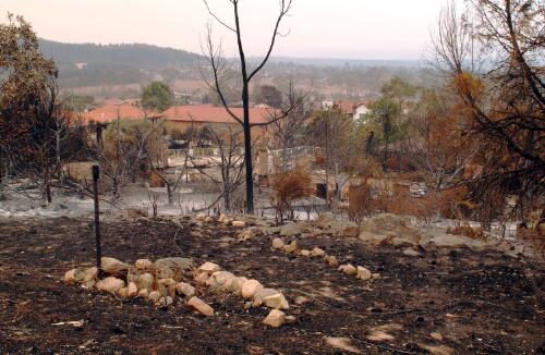 [View of houses from the burnt nature reserve, Chapman, Canberra, January 2003] [picture] / Loui Seselja