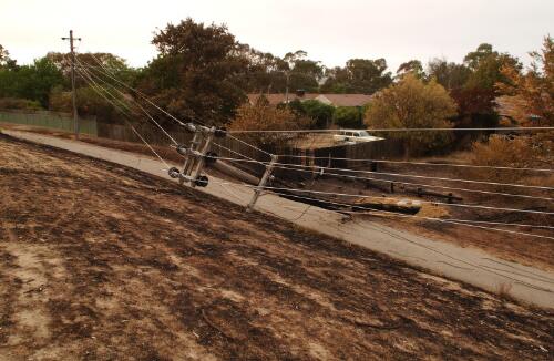 [Fire damaged nature strip and fallen power lines, Canberra, January 2003] [picture] / Loui Seselja
