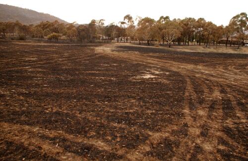 [View of burnt nature reserve, Chapman, Canberra, January 2003, 2] [picture] / Loui Seselja