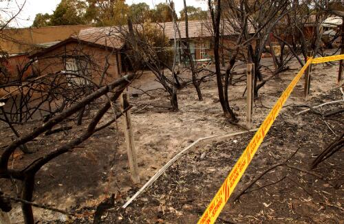 Fire damaged trees and view of some houses, Canberra, January 2003] [picture] / Loui Seselja