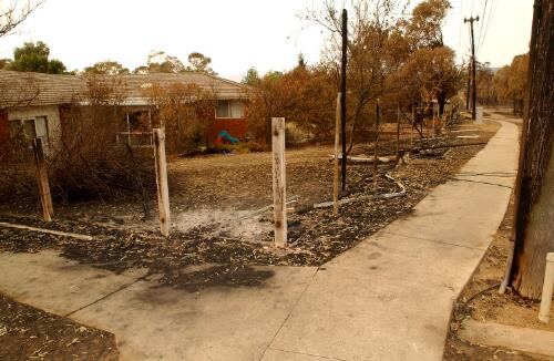 Fire damaged trees and fencing in Kambah, Canberra, January 2003] [picture] / Loui Seselja