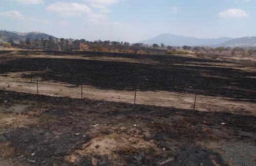 [View of fire damage to Wanniassa Hill park land, Canberra, January 2003, 4] [picture] / Loui Seselja