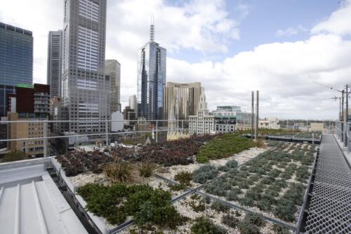 Roof deck gardens, Council House 2 [CH2], Little Collins Street, Melbourne, May 2007 [picture] / Greg Power