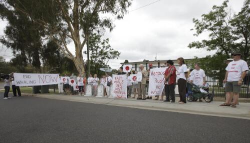 Protesters holding signs outside the Japanese Embassy demonstrating against Japanese whaling, Yarralumla, Canberra, 15 January 2010, 1 [picture] / Loui Seselja