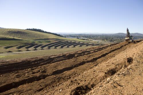 Terraces at the top end of the Central Valley, National Arboretum, Canberra, 2010 / Craig Mackenzie