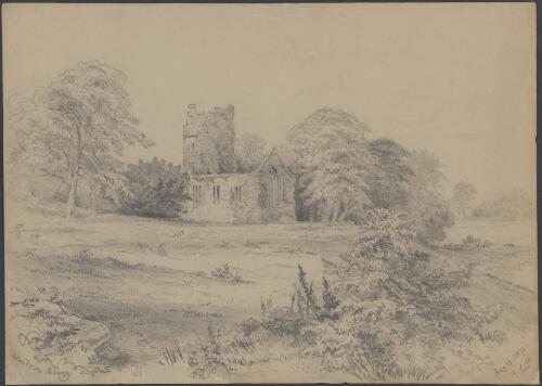 Muckross Abbey, Aug. 13, 1871 [picture] / G.F.A
