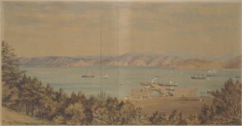 [Wellington harbour, with ships, Queens Wharf, Customs House and other buildings] [picture] / C.D. Barraud
