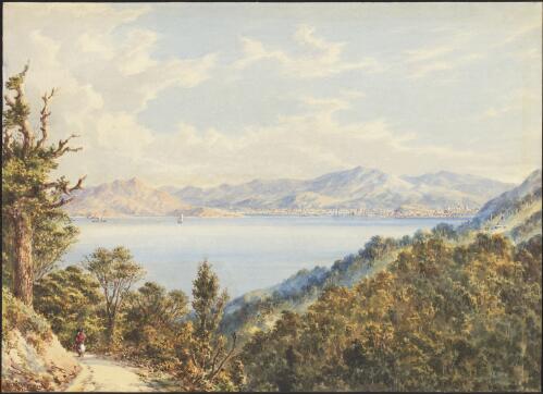 Port Nicholson, New Zealand, looking from the hill in the Hutt Road towards the town of Wellington [picture] / C.D. Barraud