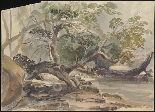Oyster Cove, Sydney, August 10th, 1847 [picture] / [Charles Edward Stanley]