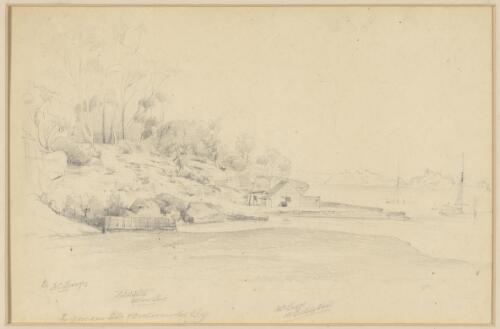 Domain side of Wooloomooloo Bay [picture] / by F.C. Terry