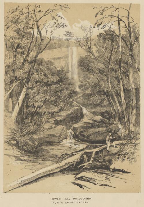 Lower fall, Willoughby, North Shore, Sydney, 1842 [picture] / J.S. Prout