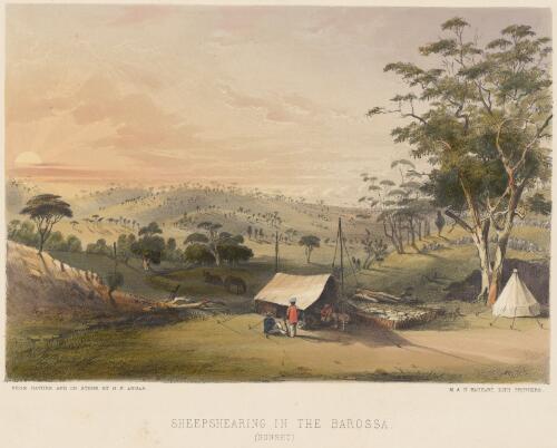 Sheepshearing in the Barossa, sunset [picture] / from nature and on stone by G.F. Angas