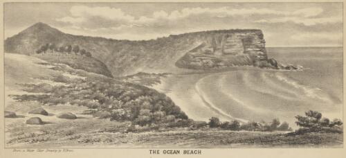 The Ocean Beach [picture] / from a water color drawing by H. Brees