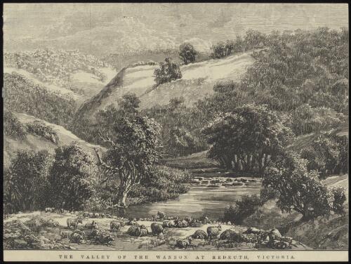 The Valley of the Wannon at Redruth, Victoria [picture] / C.L.; J.W.C