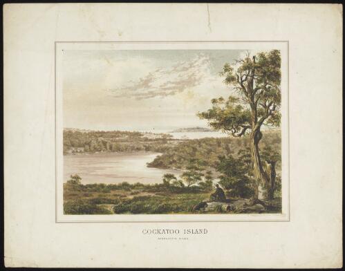 Cockatoo Island, Parramatta River [picture] / R. Wendel; C. Troedel & Co. lith