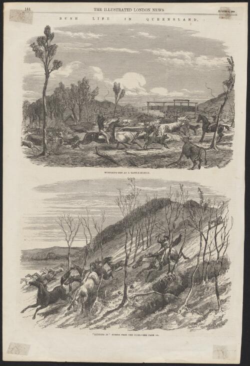 Bush life in Queensland [picture] / Harryon [sic] Weir, 1863