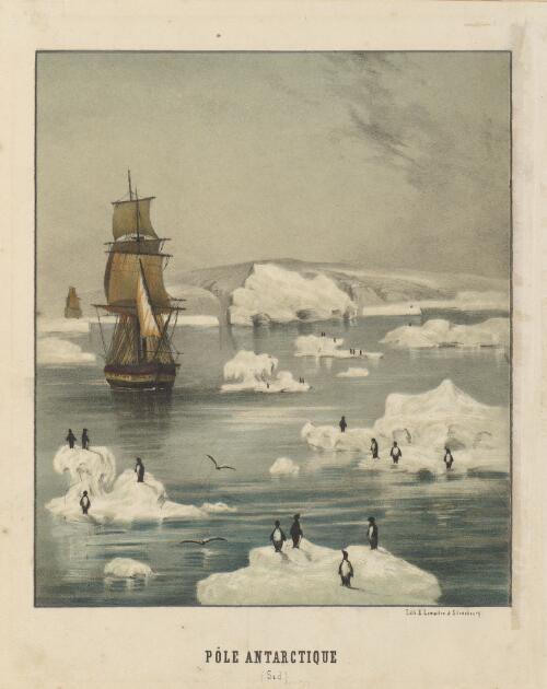 Pole antarctique, sud [picture] / lith. E. Lemaitre a Strasbourg