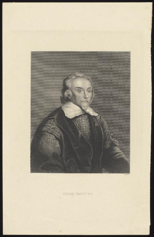 William Harvey, M.D. [picture] / W. Holl