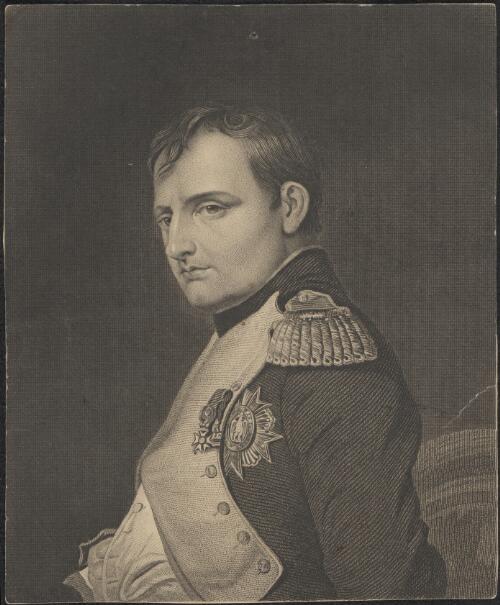 [Portrait of Napoleon] [picture]