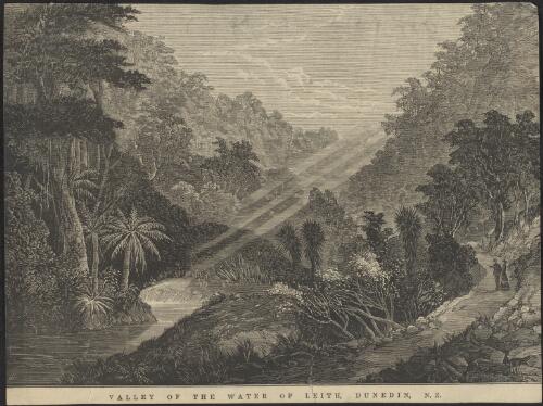 Valley of the Water of Leith, Dunedin, N.Z. [picture] / A.C