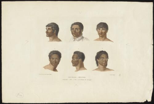 [Portraits of Maoris] [picture] / dess. par S. Leroy en partie d'apres A. Pellion; grave par Forget