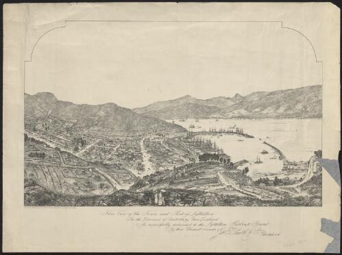 View of the town and port of Lyttelton [picture] / on stone and published by T. J. Smith & Co.; W.T.Riby delt