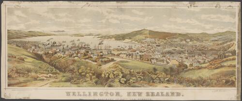Wellington, New Zealand, panorama of city and harbour [picture] / from a painting by E.A. Cockerell