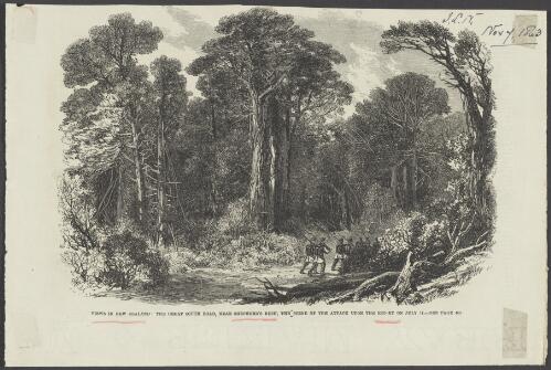 Views in New Zealand: The Great South Road, near Shepherd's Bush, the scene of the attack upon the escort July 17 [picture] / [after a photograph by J. Kinder]; M. Jackson