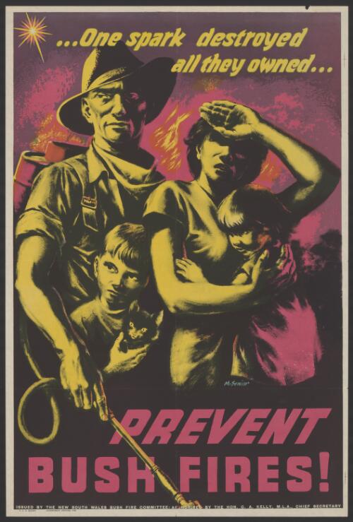 -One spark destroyed all they owned - prevent bush fires! [picture] / M. Senior