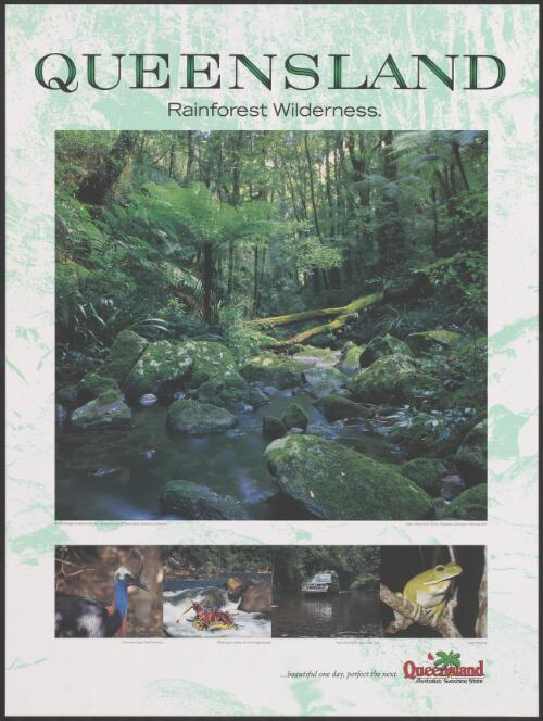 Queensland [picture] : rainforest wilderness