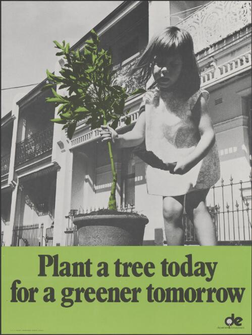 Plant a tree today for a greener tomorrow [picture]