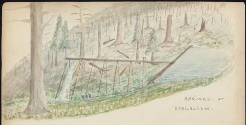Springs at Steilacoom, Washington, 1887 / R.W. Jesper