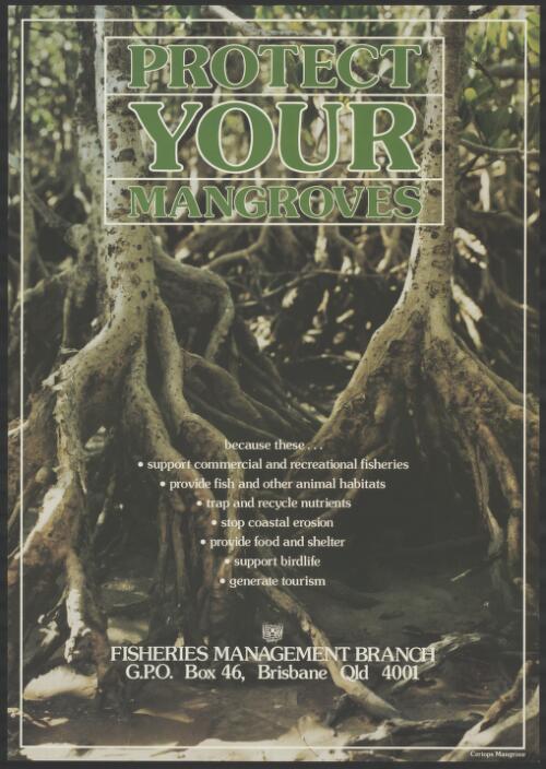 Protect your mangroves [poster] / Fisheries Management Branch