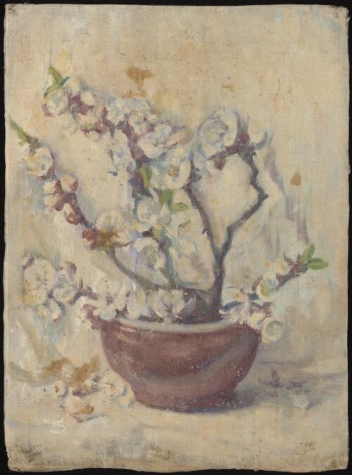 Still life, flower study, ca. 1935 [picture] / [Dora Serle]