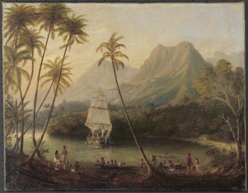 A view in Othaite [i.e. Tahiti] [picture]