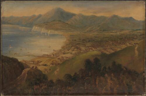 Te Aro Flat near Captain Sharpe's residence, Wellington, New Zealand [picture] / [Samuel Charles Brees]