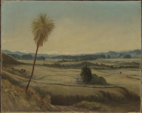 Homestead Puketutu with cabbage palm, New Zealand [picture] / [E.S. Halcombe]