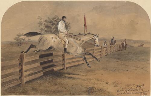 Fidget ridden by W. Filgate esqr. at the Adelaide Grand Steeple Chase of 1851 [picture] / S.T.G